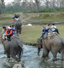 Chitwan National Park