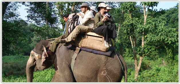 Chitwan National Park Tour