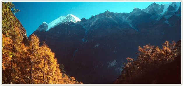 Kanchanjunga  Base Camp   Trekking