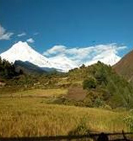 Langtang Trekking