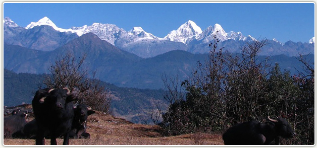 Pikey Cultural Trails Trekking 