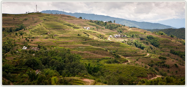 Shivapuri Trekking